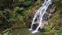 Minca, Waterfalls and Coffee Farm Tour from Santa Marta