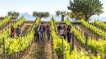 Barcelona Port Shore Excursion: Countryside Wine&Cava Tastings and Lunch