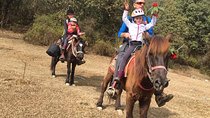 Day Pony Trek From Pokhara