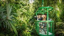 Rain Forest Aerial Tram. Private Tour from San Jose