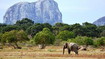 1 Day tour to Yala National Park or Udawalawe National Park