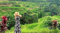 Ubud Tour - Ubud Highlight - Private Tour All inclusive