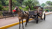 4-Hour Walking and Horse Carriage City Tour of Cairo