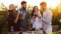 Hunter Valley Highlights Private Wine Tour from Sydney 
