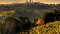 Small-Group Chianti and San Gimignano Sunset Trip from Siena