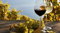 The Vine Tour from Zurich (Private Tour)