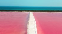 Discover the FABULOUS PINK WATERS in the Caribean