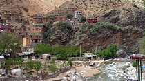 Group Ourika Valley Excursion
