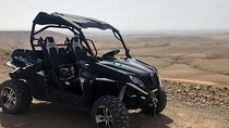 1/2 Day Buggy Marrakech Palmeraie