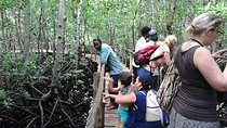 Spice Farm Tour and Jozani Forest - Private Trip