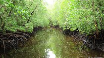 Jozani Forest, Village Tour and Mtende Beach Zanzibar