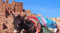 Ouarzazate group excursion