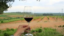 Barcelona Countryside Fullday Wine&Cava Tour with Lunch