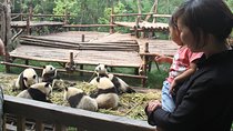 5-Day Private Tour from Zhangjiajie to Chengdu