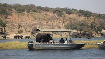 Chobe day safari from Victoria Falls