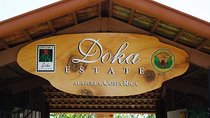 Doka Café, Poas Volcano and La Paz Waterfall Garden