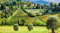 Truffle and Sommelier Vip Experience in Tuscany from Rome