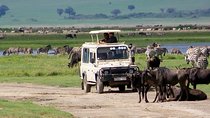 5 Days Tanzania Private Safari Tour 