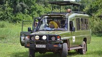 Two Days Akagera National Park Big Five Safari