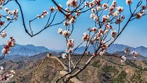 Private Transfer to Jinshanling Great Wall with Experienced Driver