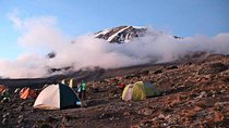 7 Days Mount Kilimanjaro Rongai Route Climb
