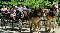 Gourmet tour with horse-drawn carriage & Optional Visit a Wildlife Observatory