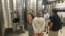Private Grand & Premier Cru Pinot Noir Champagne Vineyard Tour