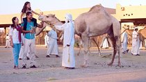 Al Ain City Tour from Dubai (Cultural & Themes tours )