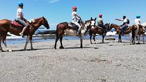 Horseback Riding in Playa Carrillo