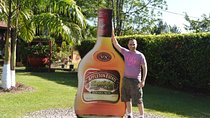 Black River Safari and Appleton Rum Estate Private Tour 