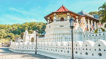 Kandy City Tour from Colombo