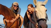 Hurghada: Horse ride 3 Hours Swim, Beach & Desert & Transfer 