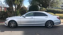 Bespoke London Sightseeing Tour (E Class Mercedes)