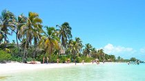 Contoy Island Tour from Playa del Carmen & Cancun