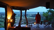 3-Day Masai Mara Safari in a Luxury Tented Camp