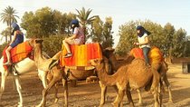 Camel ride in Marrakech