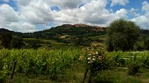 Montepulciano and Pienza Tuscany Wine&Cheese Fullday from Rome