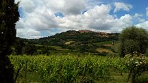 Montepulciano and Pienza Tuscany Wine&Cheese Fullday from Florence