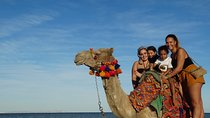 Camel Ride One Hour At Amazing Desert with Transfer :Marsa Alam