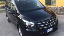 Transfer from Airport/Port/Station to Hotel and Viceversa