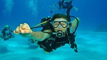 Coral Garden Sea Trip & intro dive With Transfers :Marsa Alam