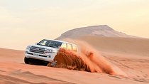 Combo Tours: Half-Day Dubai City Tour With Evening Red Dunes Desert Safari