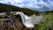 One day trip to Athirapally waterfall and Cherai beach to Kochi.
