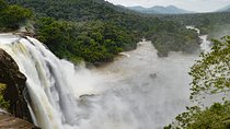 Athirappilly Falls & Cherai Beach Bliss - Day Escape from Kochi