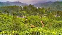 Scenic Kerala : Hills, Wildlife, Backwaters & Beach Bliss- 7 Days