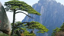Private Transfer to Yellow Mountain from Hangzhou