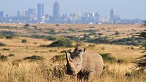 Half day Nairobi National Park Tour & Sheldrick Elephant Nursery