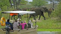 4-Days Safari From Dar es Salaam; Selous/Nyerere & Mikumi N. Park