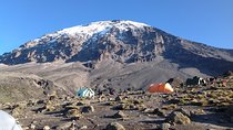 7-Day Lemosho Route Hiking in Kilimanjaro