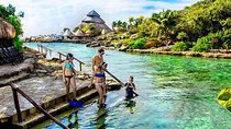Nature Day at Xcaret Plus! Round transportation From Cancun & Riviera Maya